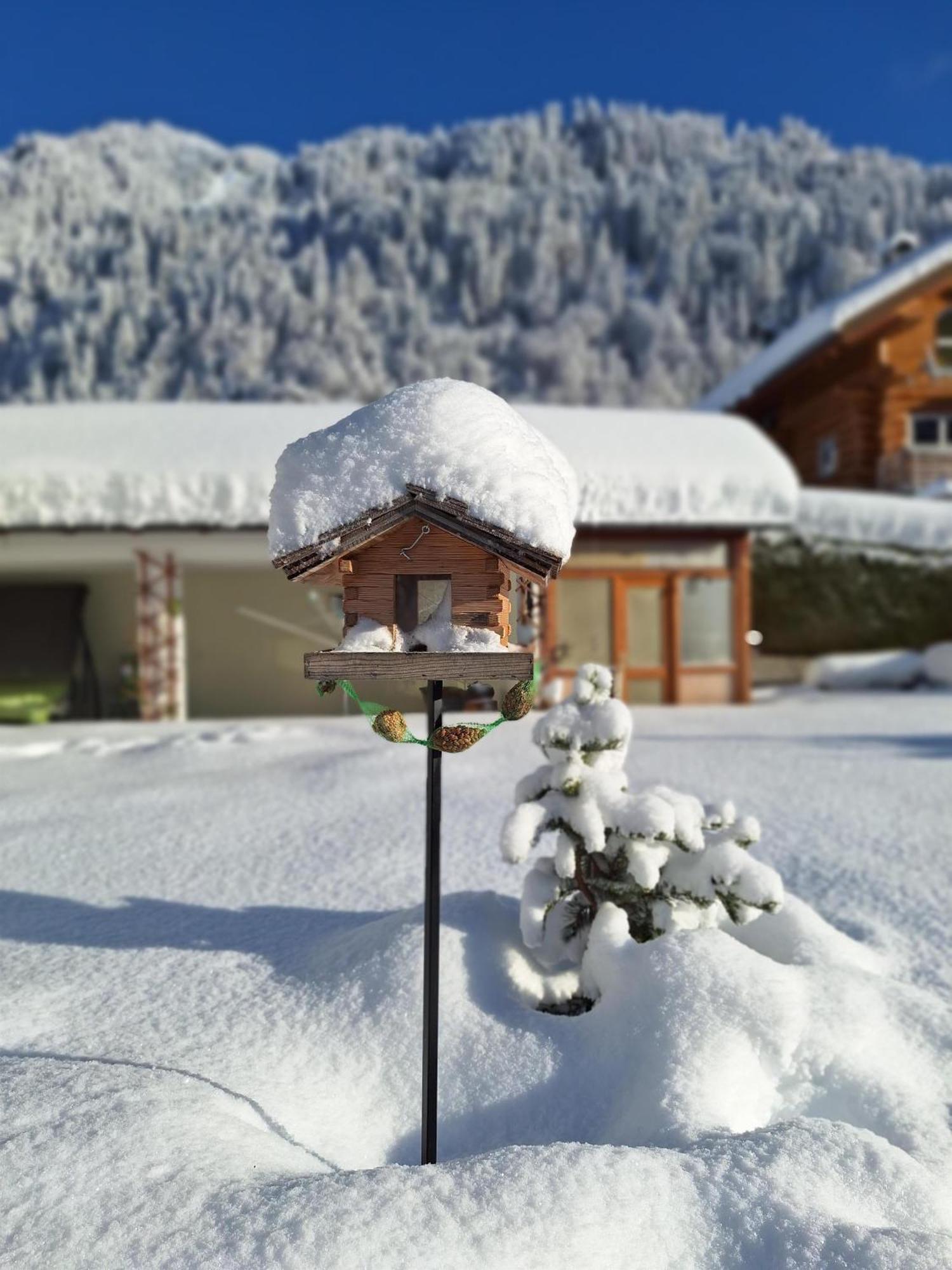 Ferienwohnungen Pollhammer Sankt Gallenkirch Esterno foto