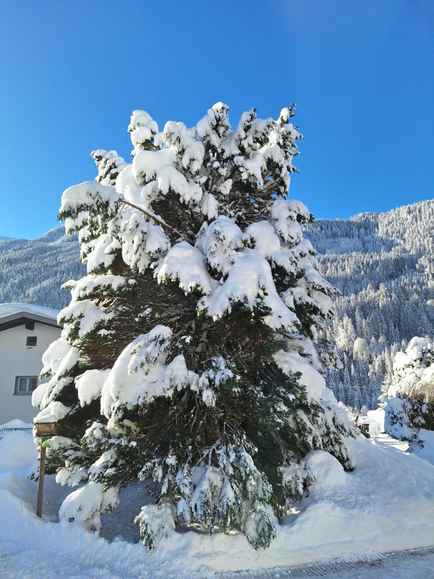Ferienwohnungen Pollhammer Sankt Gallenkirch Esterno foto